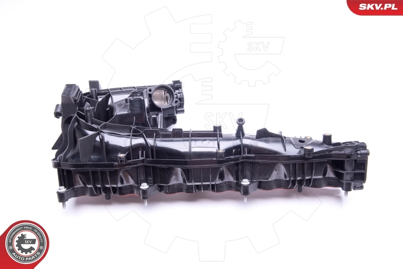 Intake Manifold Module 49SKV019