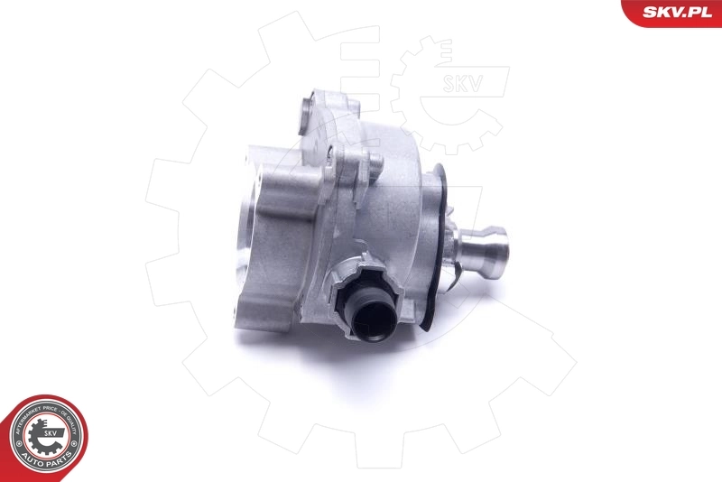 Vacuum Pump, braking system 18SKV022