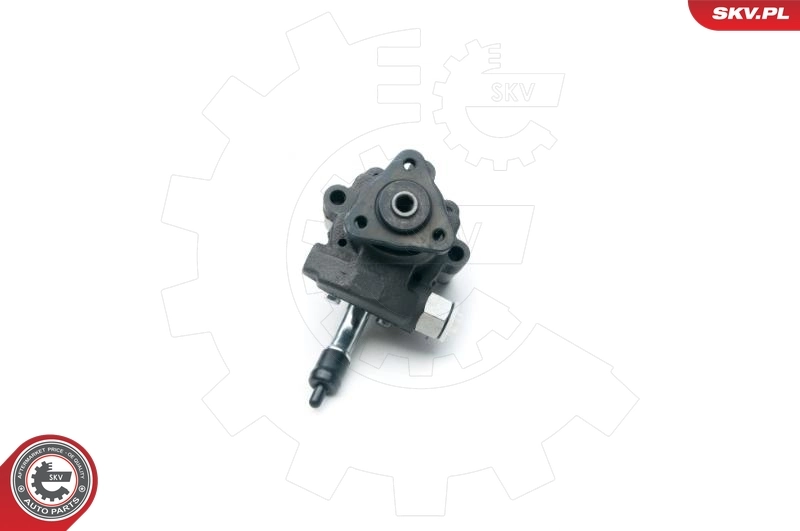 Hydraulic Pump, steering 10SKV190