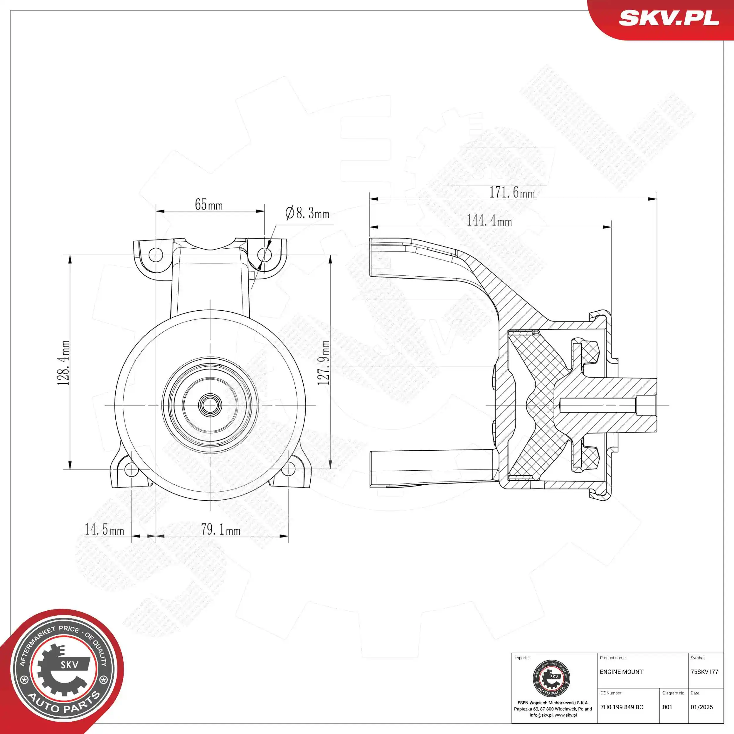Mounting, engine 75SKV177