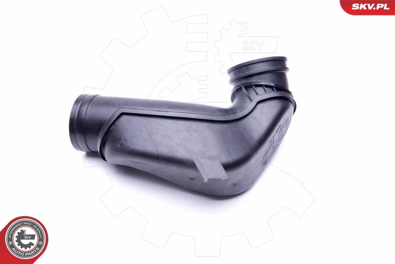 Slang masuk, filter udara 43SKV921