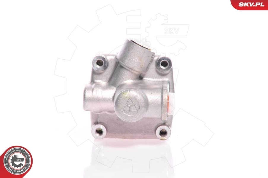 Hydraulic Pump, steering 10SKV011