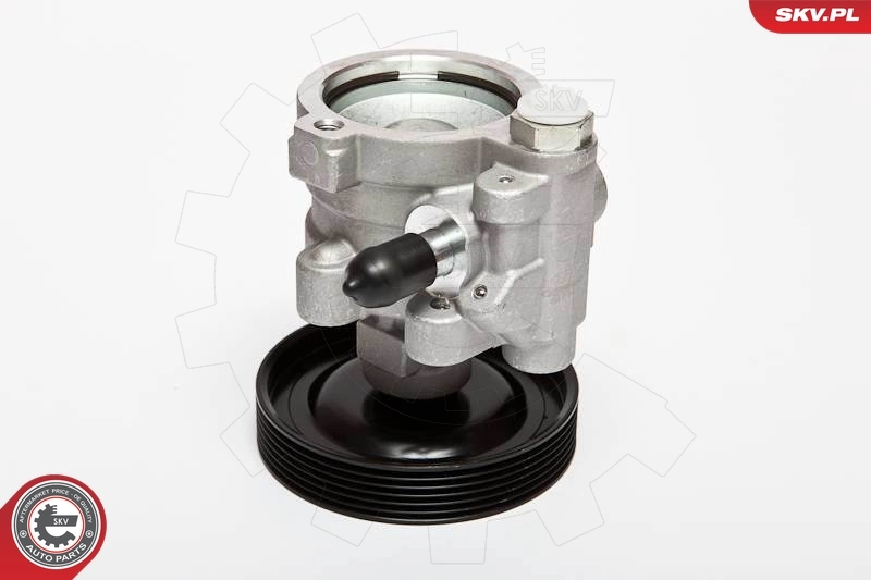 Hydraulic Pump, steering 10SKV068