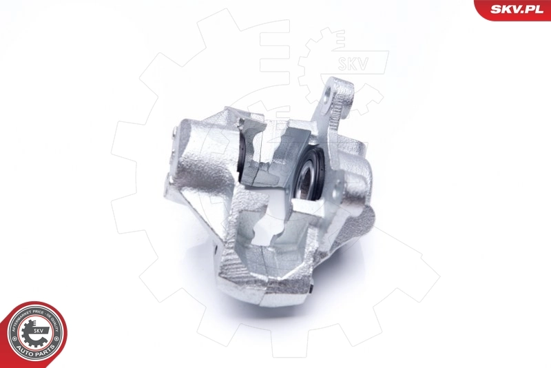 Brake Caliper 42SKV014