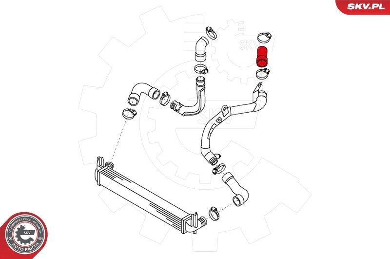 Charge Air Hose 24SKV149