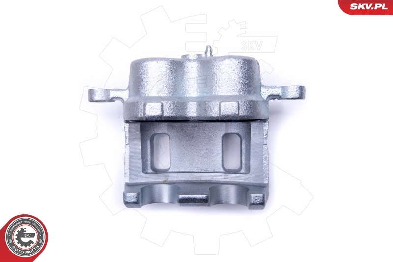 Brake Caliper 50SKV382