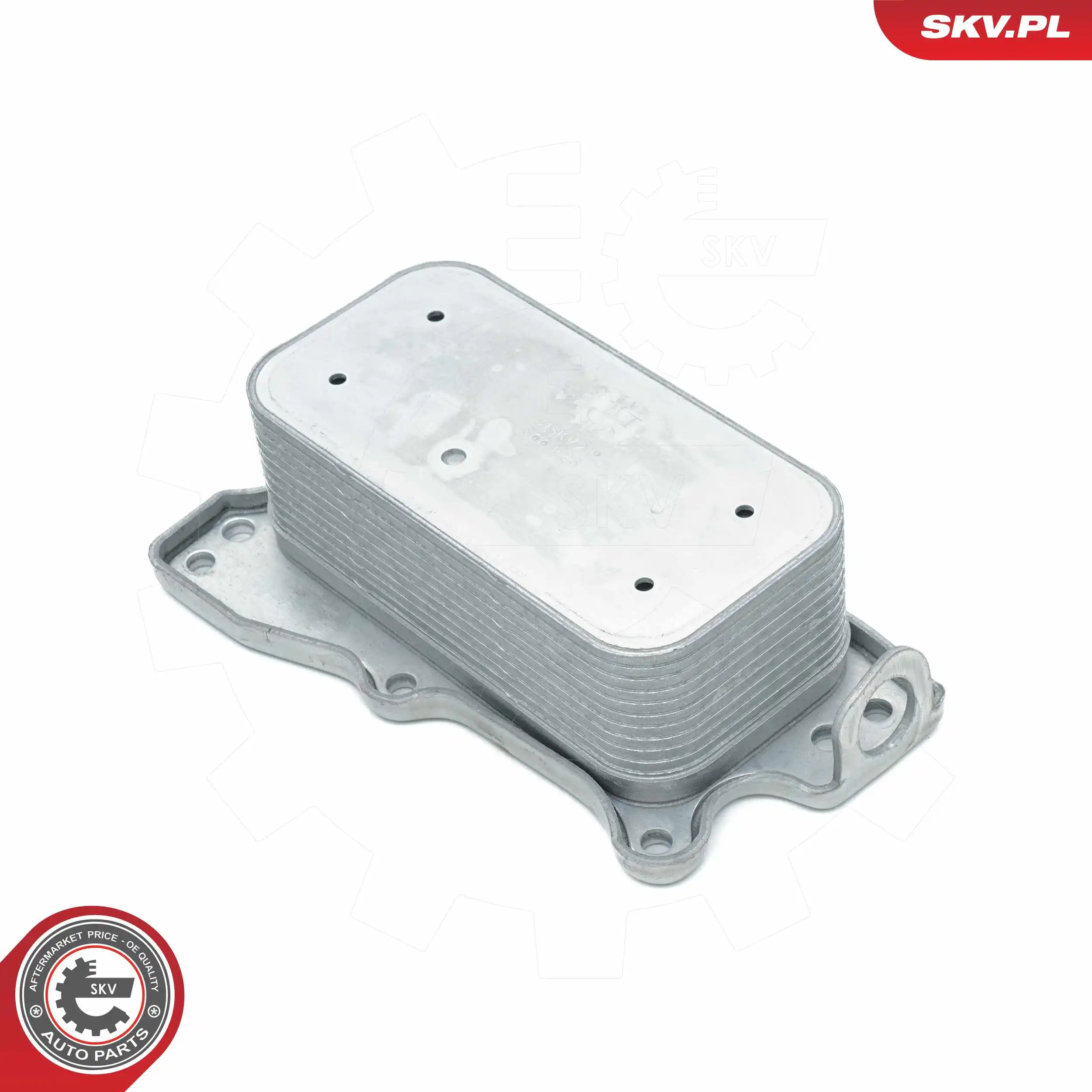 Oil Cooler, engine oil 31SKV219