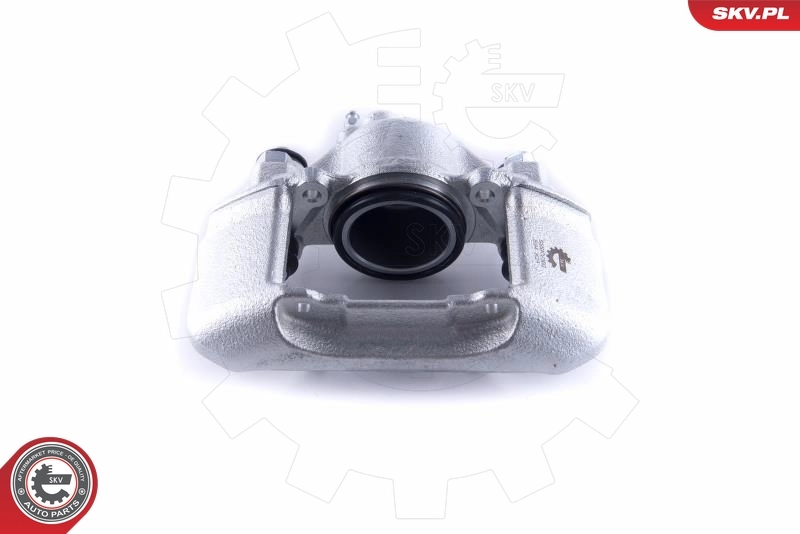 Brake Caliper 55SKV302