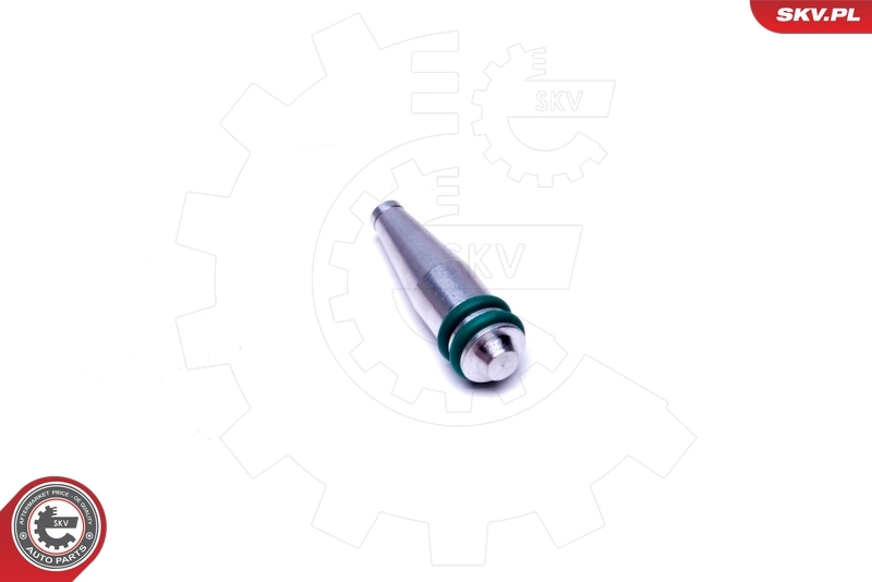 Repair Kit, intake manifold module 49SKV548