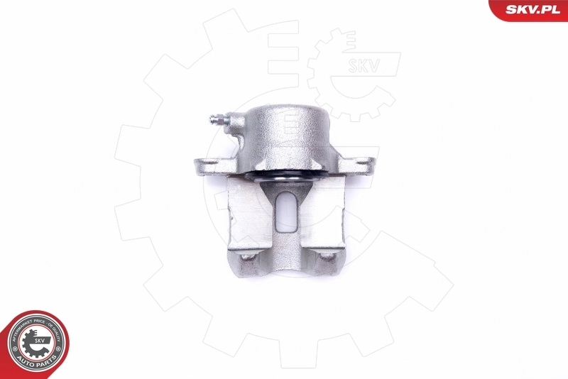 Brake Caliper 42SKV142
