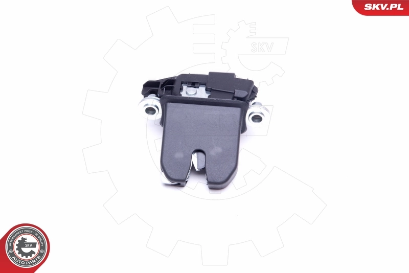 Tailgate Lock 16SKV219