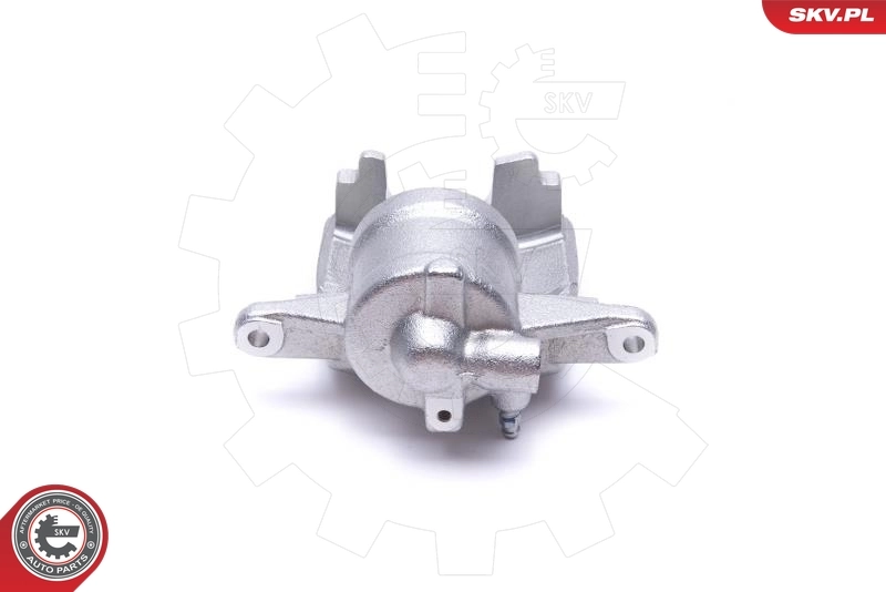 Brake Caliper 55SKV911