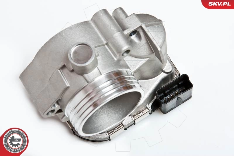 Throttle Body 12SKV001