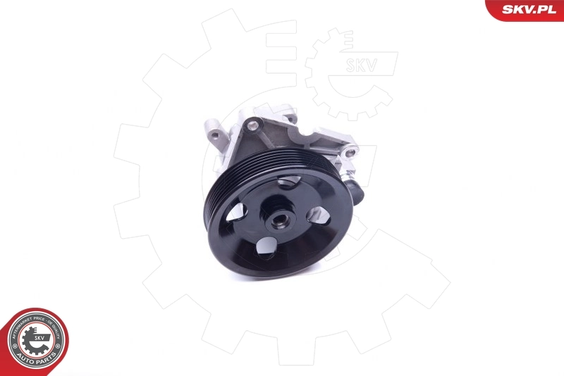 Hydraulic Pump, steering 10SKV192