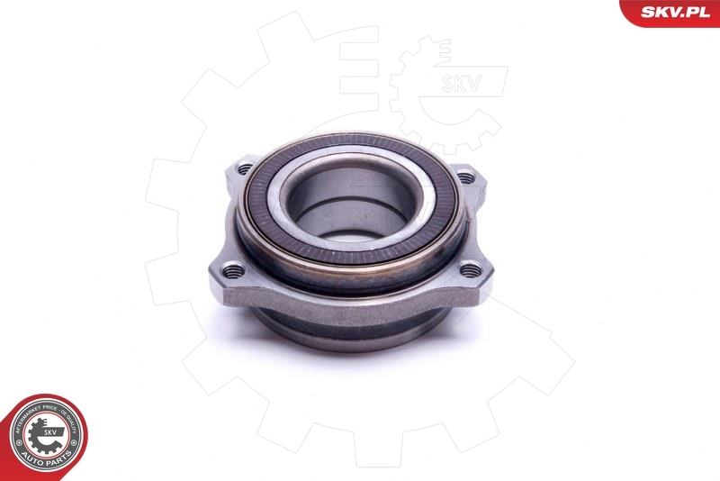 Wheel Bearing Kit 29SKV505
