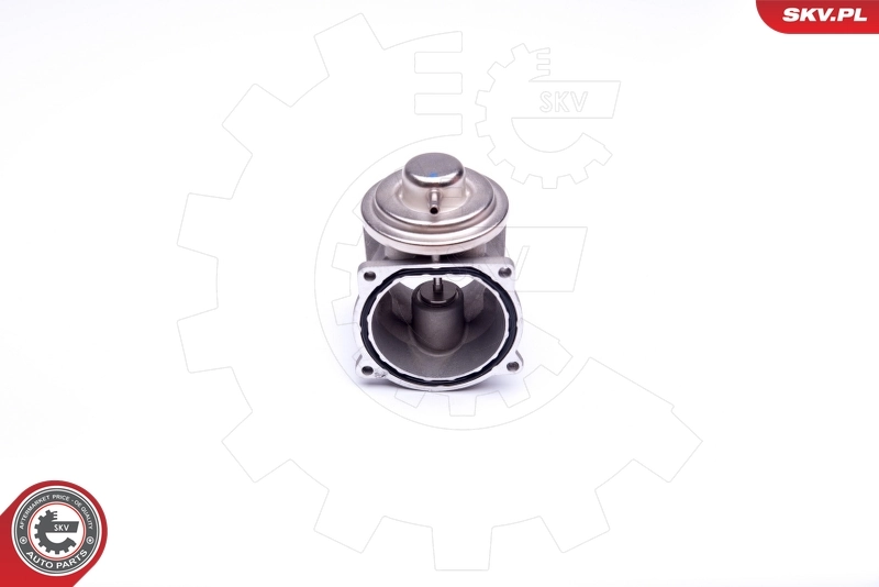 EGR Valve 14SKV108