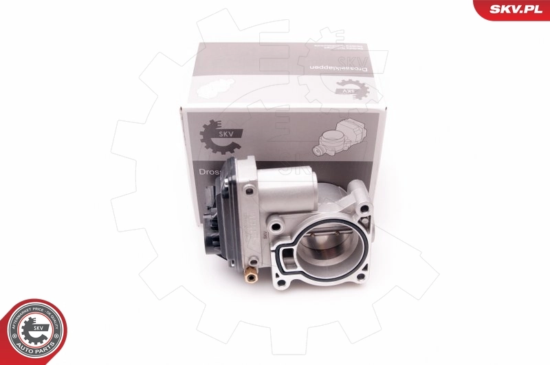 Throttle Body 12SKV069