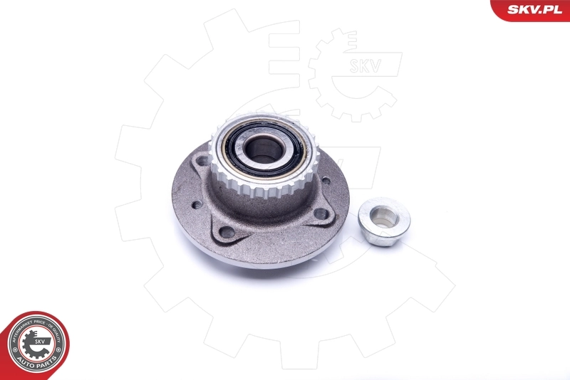 Wheel Bearing Kit 29SKV223
