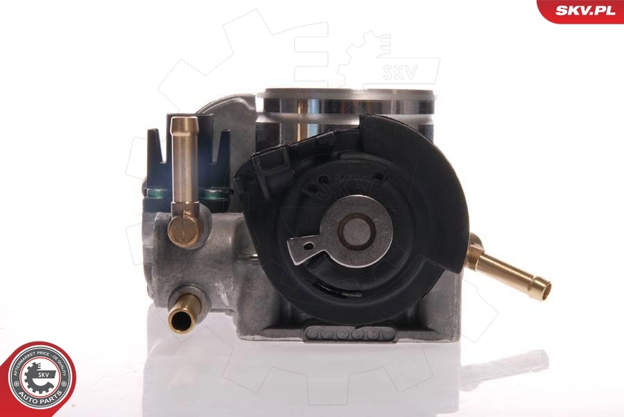 Throttle Body 12SKV025