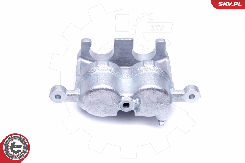 Brake Caliper 50SKV381