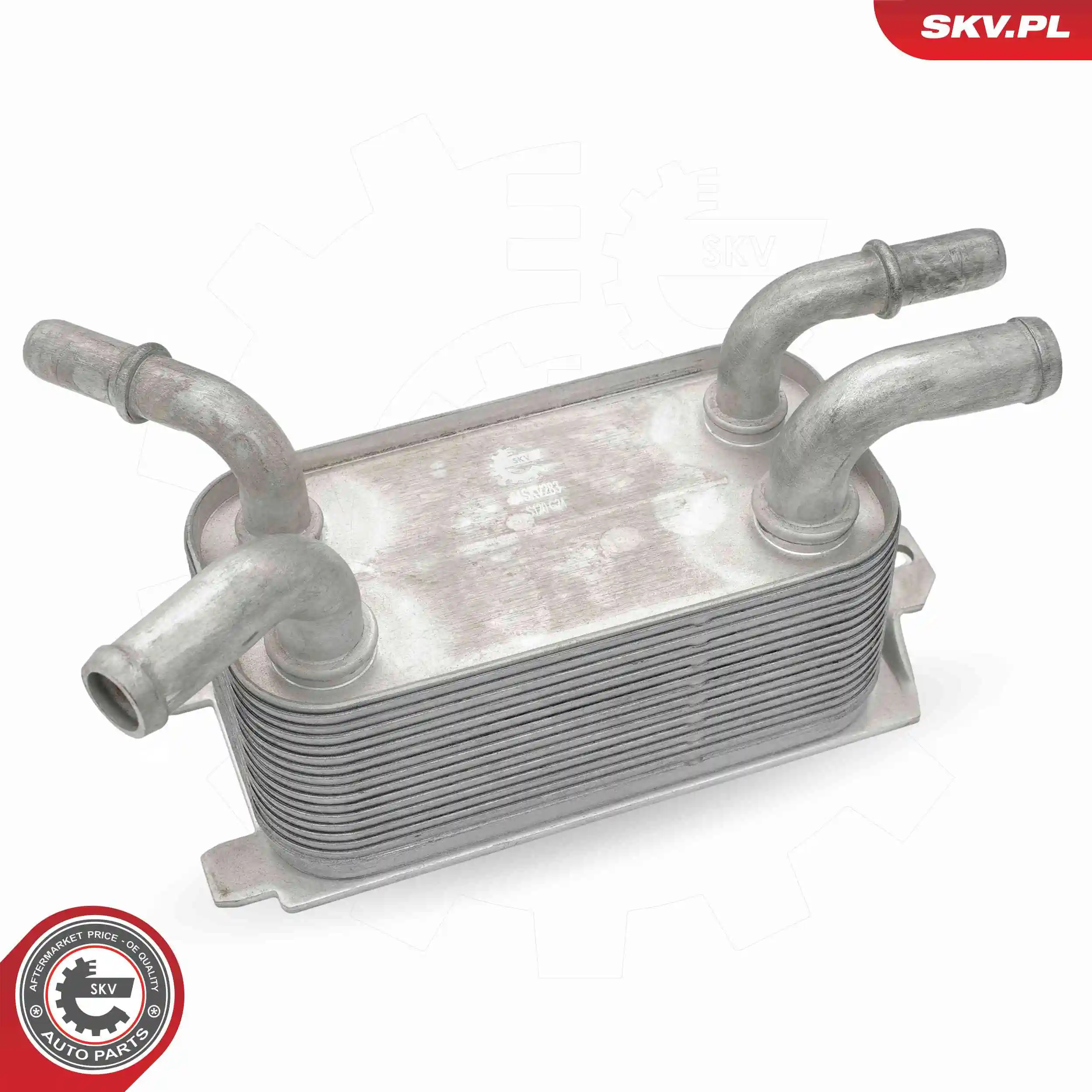 Oil Cooler, engine oil 31SKV283