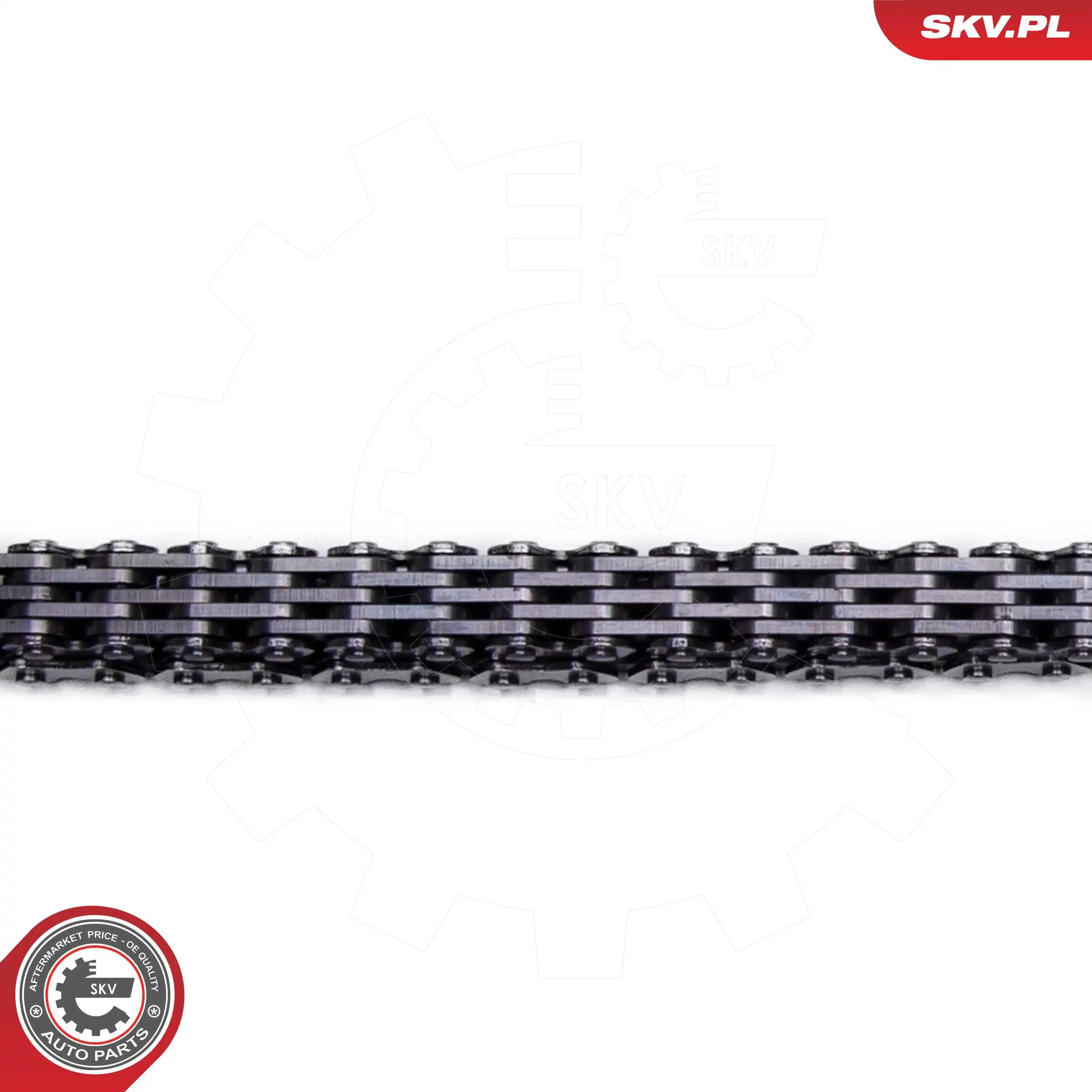 ESEN SKV 21SKV253 Timing Chain Kit