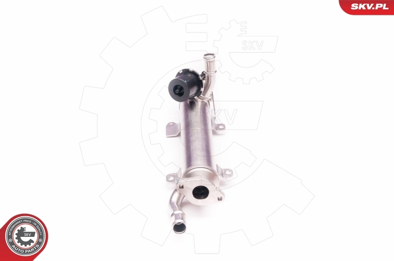 EGR Valve 14SKV123