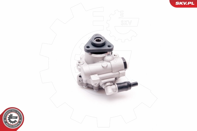 Hydraulic Pump, steering 10SKV220