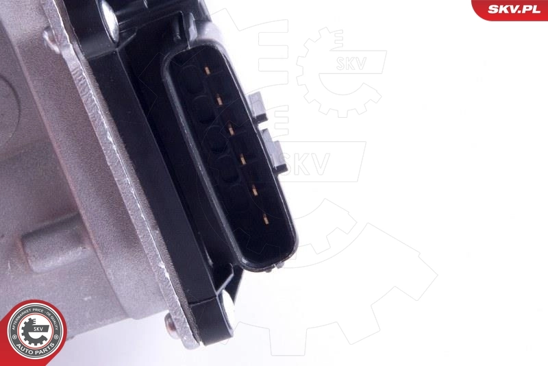ESEN SKV 12SKV096 Throttle Body