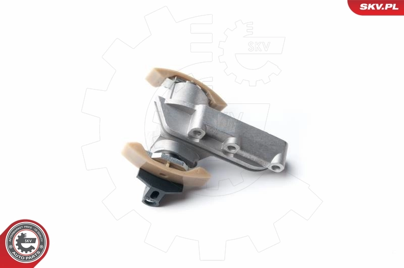 Timing Chain Kit 21SKV010