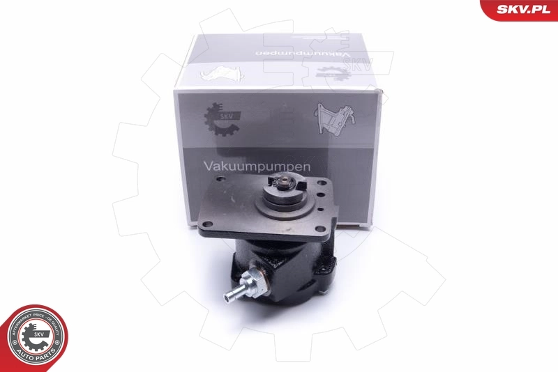 Vacuum Pump, braking system 18SKV050