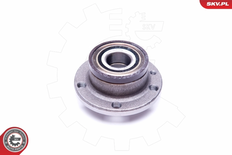 Wheel Bearing Kit 29SKV300