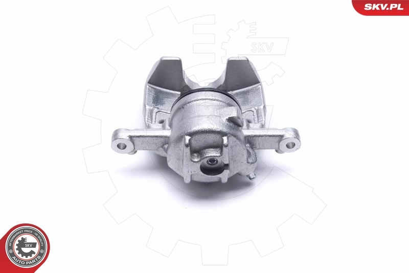 Brake Caliper 55SKV721