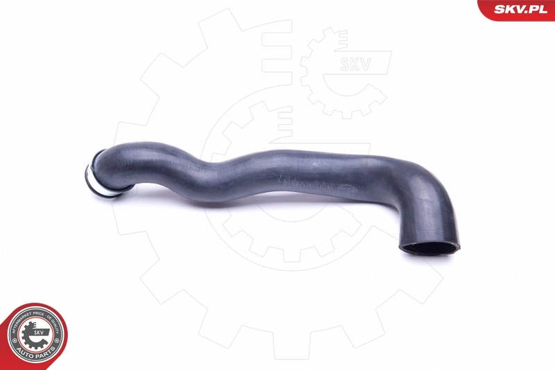 Radiator Hose 43SKV891