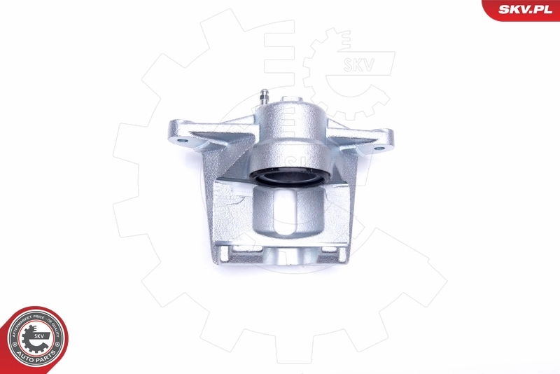 Brake Caliper 42SKV921