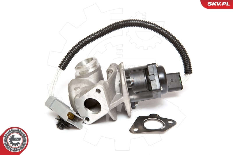 EGR Valve 14SKV071
