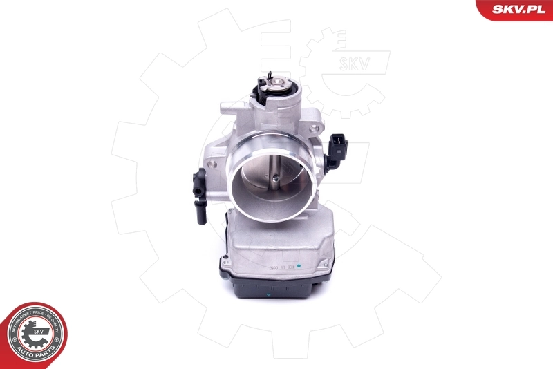 Throttle Body 12SKV071