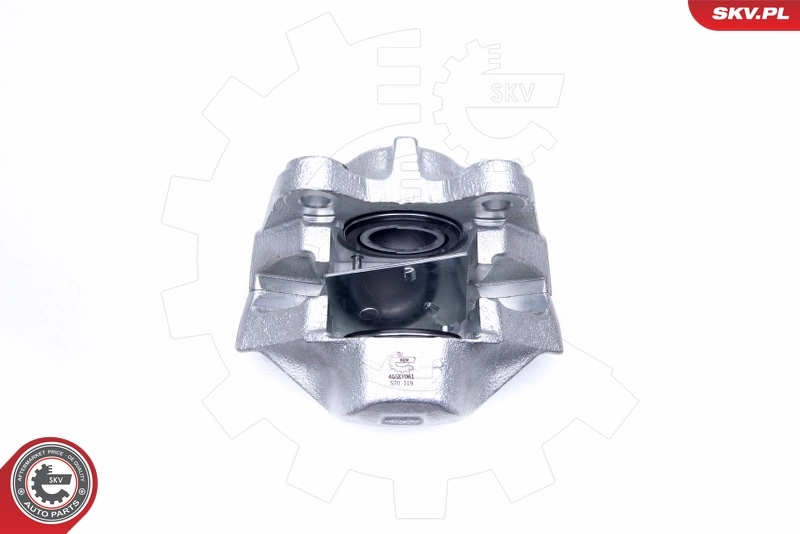 Brake Caliper 45SKV061