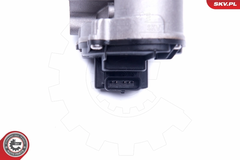 EGR Valve 14SKV184