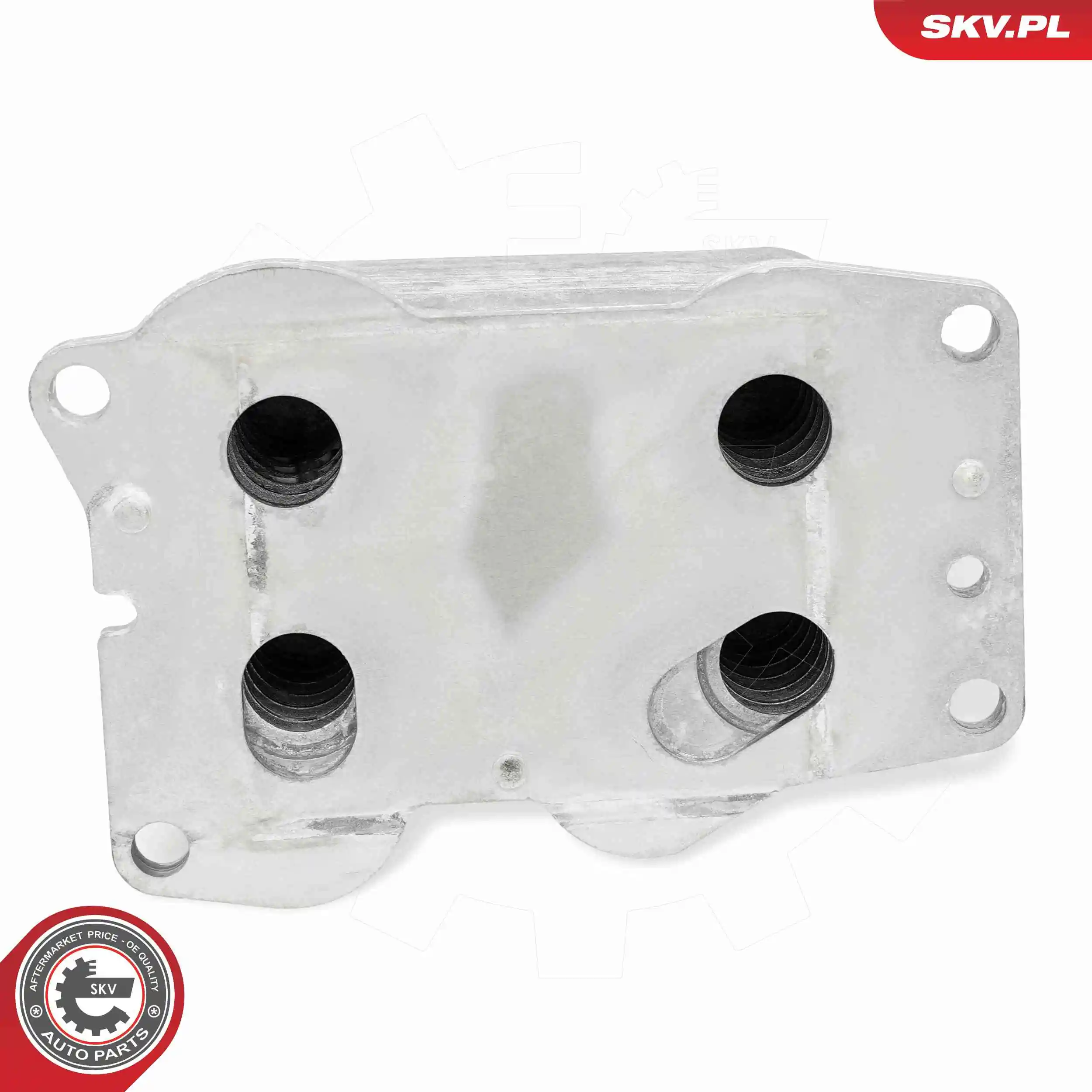 Oil Cooler, engine oil 31SKV308