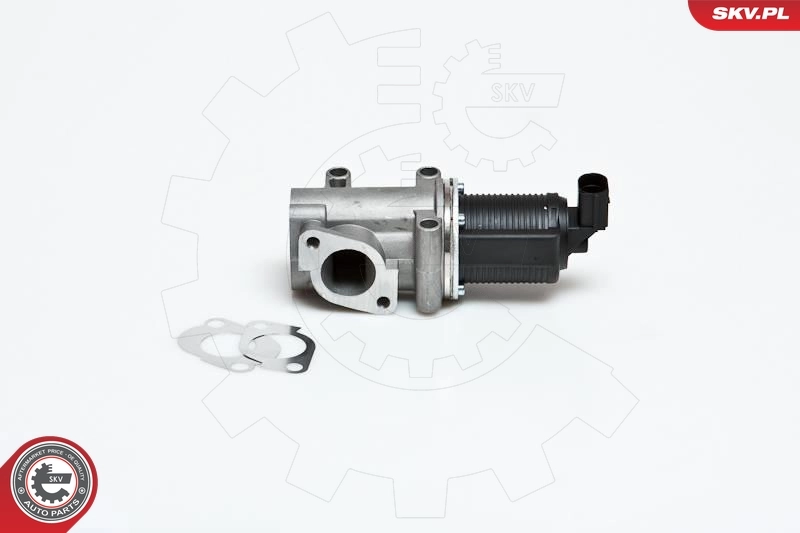 EGR Valve 14SKV006