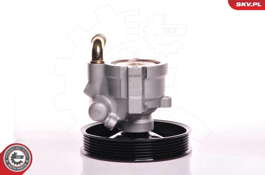 Hydraulic Pump, steering 10SKV164