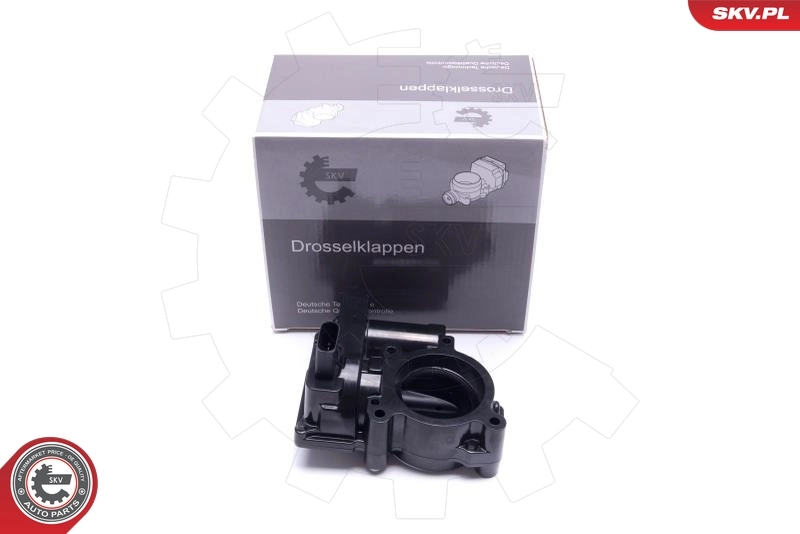 Throttle Body 12SKV107