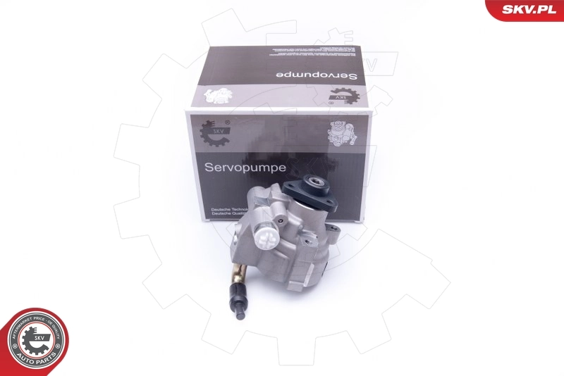 Hydraulic Pump, steering 10SKV278