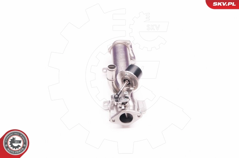EGR Valve 14SKV123
