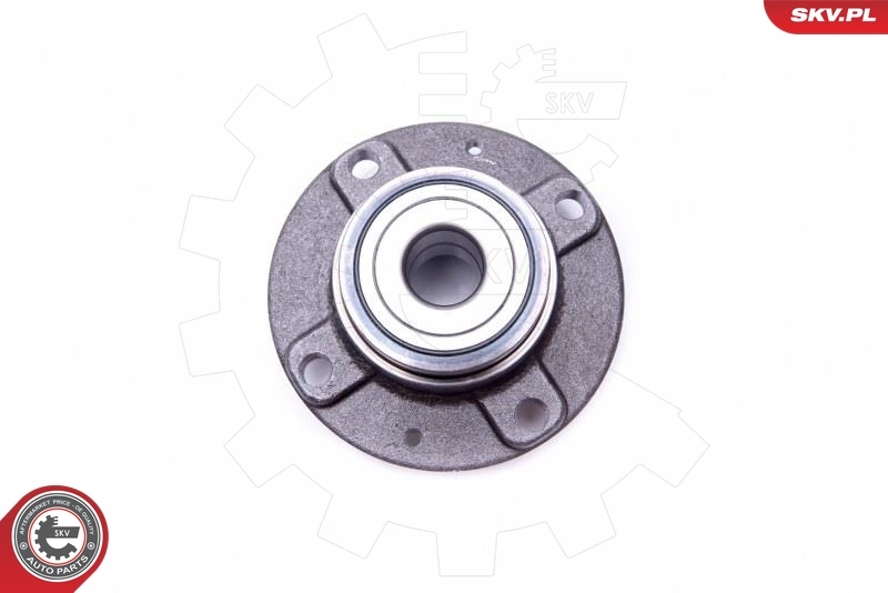 Wheel Bearing Kit 29SKV348