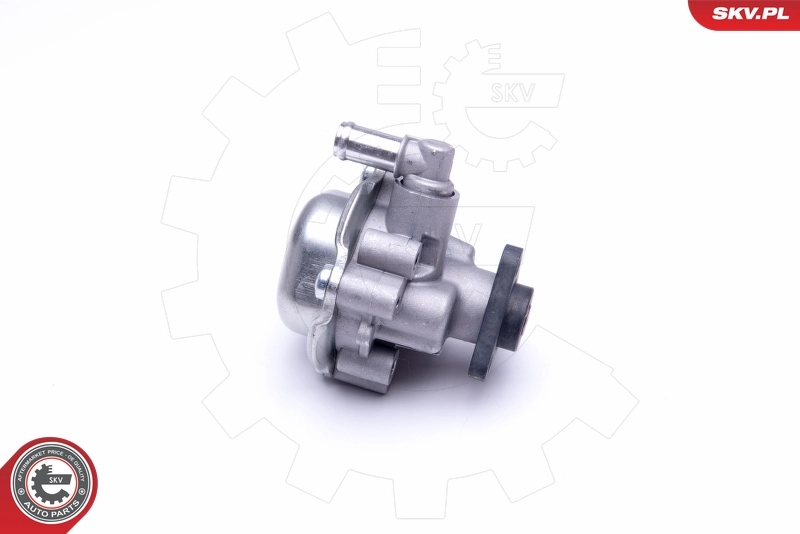 Hydraulic Pump, steering 10SKV170