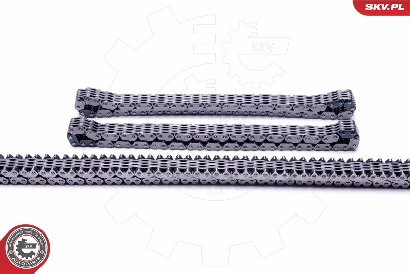 Timing Chain Kit 21SKV178