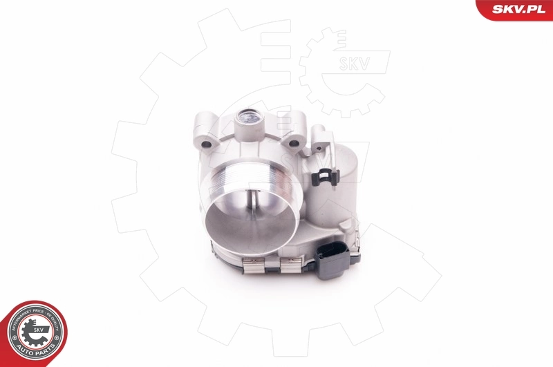 Throttle Body 12SKV054