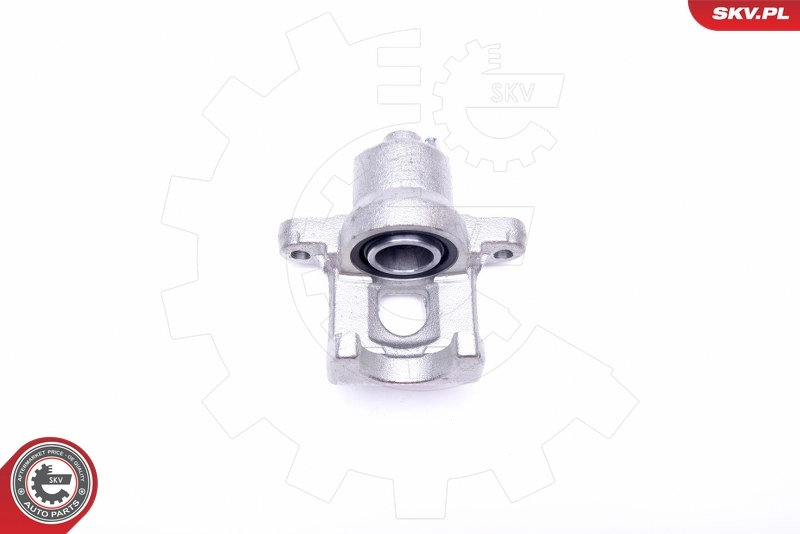 Brake Caliper 45SKV613